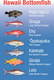 Noaa Pifsc Hawaii Bottomfish Heritage Project