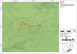 Image result for Aspidoglossum hirundo