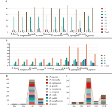 Image result for Brachycorythis buchananii