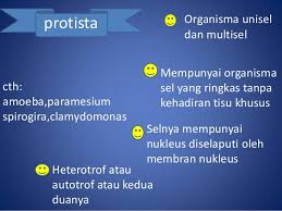Biologi tingkatan 4 bab 2. Biologi Tingkatan 4 Bab 8 4 Biokepelbagaian