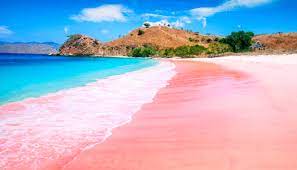 Pantai, pasir, dinding, hijau, warna, biru, lihat drone, seni, laut, lautan, bahan. Seronoknya Berwisata Di Pasir Pantai Berwarna Merah Muda Labuhan Bajo