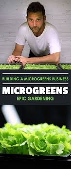 Learn How I Started A Microgreens Business In My Garage On A Total Whim It S Not Smoke And Mirrors Just So Microgreens Aquaponics Indoor Vegetable Gardening