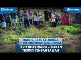 Sebagai teknisi tukang listrik di mojokerto / jasa kelistrikan di mojokerto terbaik dan terpercaya, kami siap melayani kebutuhan anda dalam hal saat anda perlu tambah daya listrik pln karena kapasitasnya rendah, maka sebagai pelanggan pln bisa ajukan permohonan naik daya ke kantor. Tragis Satu Keluarga Di Bojonegoro Meninggal Tersengat Listrik Jebakan Tikus Di Tengah Sawah Youtube