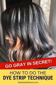 You can also use it for kids. Why The Dye Strip Technique Is The Best Way To Go Gray In Secret In 2020 Gray Hair Growing Out Hair Dye Stripping Blending Gray Hair