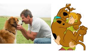 Un nom fruité et gourmand. Haut 100 Chiens De Noms De Films D Hollywood Litterature Et Bd