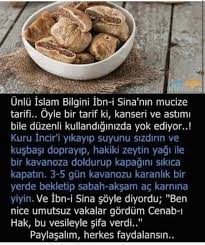 Seniha Inan Adli Kullanicinin Health Panosundaki Pin Saglikli Bitkisel Tarifler Gida