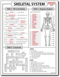 Skeletal System Review Worksheet Test Prep Print Google Slides Options