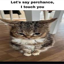 let's say, perchance, i touch you…