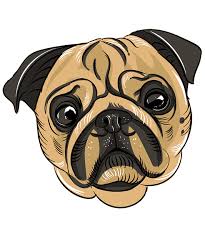 This formula features fresh chicken as the main ingredient with chicken meal as a concentrated source of supplemental protein. What Are The Best Food For Pug Puppies Under 3 Months