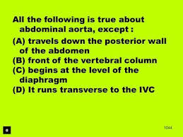 1700 Ultrasound Questions Youtube Ultrasound School Diagnostic Medical Sonography Sonography School