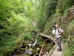 From wikimedia commons, the free media repository. Wandern Ravennaschlucht Tour 108326