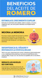 Pin En Aceite De Romero