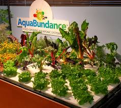 Aquabundance Home Aquaponic Gardens The Aquaponic Source