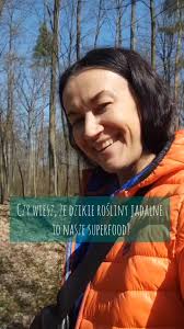 Kurdischer Mann Auf Wise