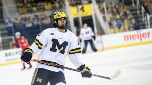 Complete player biography and stats. Owen Power Facts Bio Family Girlfriend Net Worth And Career Life