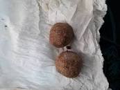 Hasil carian imej untuk doi mana boleh didapati geliga landak