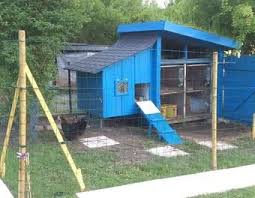 Votre Magazine Pour Le Bricolage Et Le Jardinage Poulailler Poulailler Palette Poulets De Basse Cour