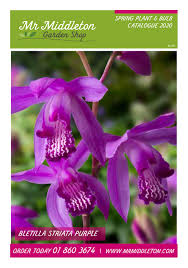 If you have not received one you can download it from this website or you can request one here. Mr Middleton Spring Plant And Bulb Catalogue 2020 Pdf By Mr Middleton Garden Shop Issuu