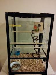 A Converted Reptile Terrarium Into A Glass Bird Cage Much More Cleaner Look Then Your Typical Bird Cages Cleaner Reptile Terrarium Bird Cage Diy Bird Cage