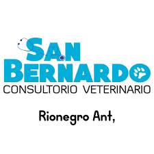 Consultorio Veterinario San Bernardo