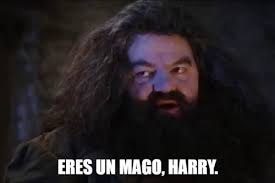 Box office mojo find movie box office data. More Fun Than Quidditch Harry Potter Language Learning