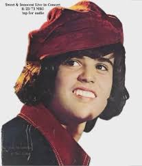 Wisconsin State Fair The Osmonds Concert Experience