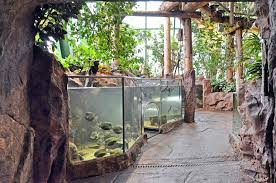 Der haus des meeres aqua terra zoo ist im knapp 50 m hohen, ehemaligen flakturm aus dem 2. Haus Des Meeres Wien Mit Kind Recommended By The Urban Kids