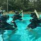 Basic Diver event image