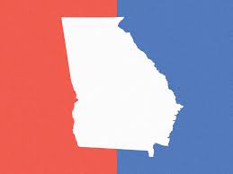 Georgia State Election Results 2020 Npr Illinois