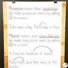 Teaching Possessive Nouns Charts Related Keywords