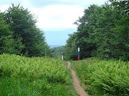Confina con l'austria ad ovest, la repubblica ceca a nord ovest, l'ungheria a sud, la polonia a nord e l'ucraina ad est. Confine Tra La Slovacchia E L Ucraina Wikipedia