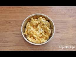It is very important to figure out why your dog is having diarrhea, and to know that it can have very negative effects on health if not dealt with properly! Homemade Dog Food For Diarrhea Recipe Helps To Firm Up Stools Youtube