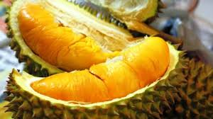 Meski buah durian begitu digemari, namun banyak yang mengeluhkan jika aromanya sulit dihilangkan. Tak Boleh Bawa Durian Ke Dalam Kereta Yang Dilakukan Penumpang Perempuan Ini Surya