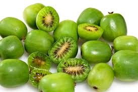 Image result for Actinidia
