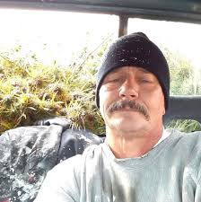 I have a stray cat that has shown up at our barn, I got it a little house  set up and we've been feeding it. Does anyone know a good reasonably priced