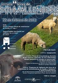 La sanidad animal es un pilar fundamental para garantizar la salud pública y la seguridad alimentaria. Meetings On Virus Schmallenberg