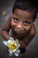 Stock Image Search Results