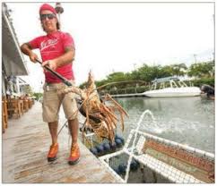 I will go over a few of the ways i do it. Sales Of Florida Keys Spiny Lobster Down From Last Year