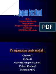 Check spelling or type a new query. Penjagaan Posnatal S3
