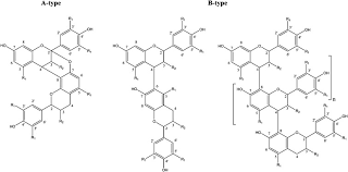 Image result for Schinopsis