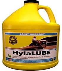 Image result for Hylebates