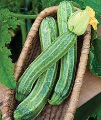 Are there two types of zucchini trellois and non trellis. Zucchini Varieties And Types Of Zucchini