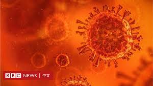 The mutation is a single nucleotide change in one portion of the spike protein. è‚ºç‚Žç–«æƒ… è‹±åœ‹ç™¼ç¾èˆ‡å—éžæœ‰é—œçš„æ–°è®Šç¨®ç—…æ¯' Bbc News ä¸­æ–‡