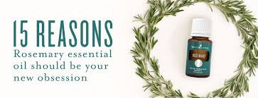 That's why we have come up with some diy hair growth in that case, a homemade hair growth serum can nourish your scalp and hair naturally without any side effects. How To Use Rosemary Oil Young Living Blog