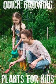 The majority of my days were filled with keeping a very inquisitive preschooler occupied and her wild toddler brother out of trouble. Quick And Easy Seeds To Grow With Kids And First Time Gardeners