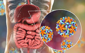 Hepatitt c (epidemiologi, utredning og behandling) 2021, mars. Hepatitt B Symptomer Og Behandling Oslo City Legesenter