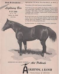 Lightning Bar Ace Of Clubs Quarter Horses Horses Quarter Horse Two Year Olds