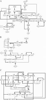 Pride Lift Chair Wiring Diagram Block Diagram Maker Free Bege Wiring Diagram