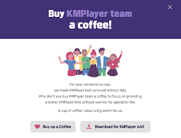 See related links to what you are looking for. Kmplayer We Play All