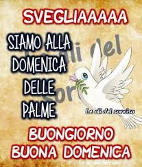 Ecco alcuni suggerimenti e consigli per. Buongiorno E Buona Domenica Delle Palme Bellissimeimmagini It